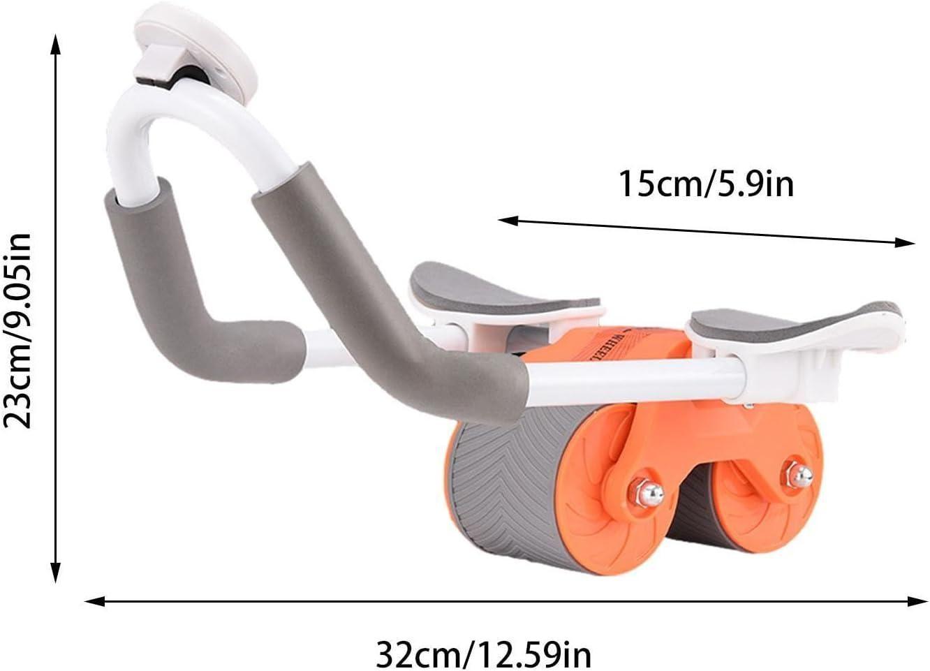 Advanced Flex Pro Ab Roller System